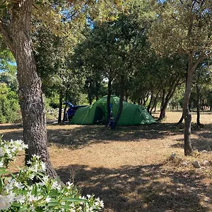 Sugar Camping